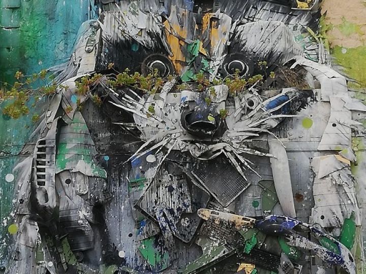 Arte urbano en Lisboa | Blog