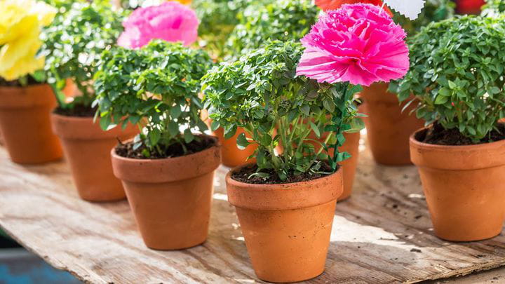 Oporto en junio | Blog