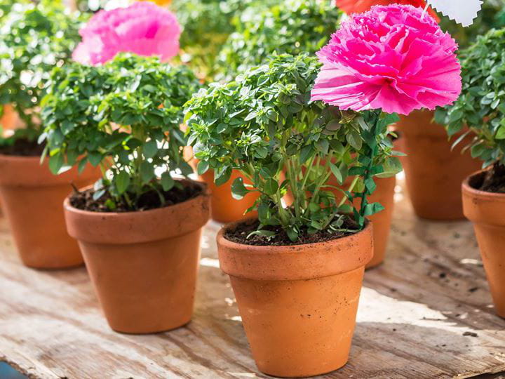 Porto in June | Blog