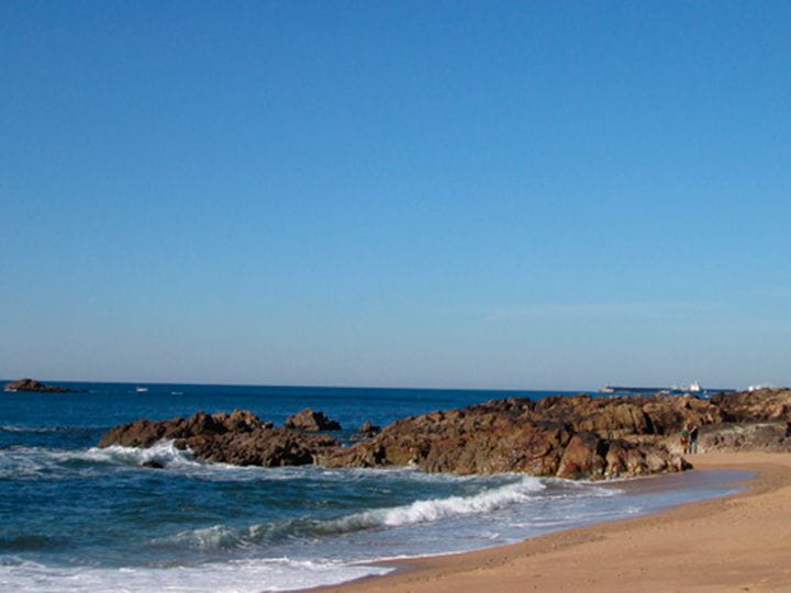 Which are the best beaches in Porto? The Green Coast
