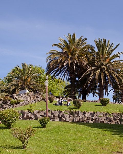Jardim do morro. Vista panorámica de Oporto